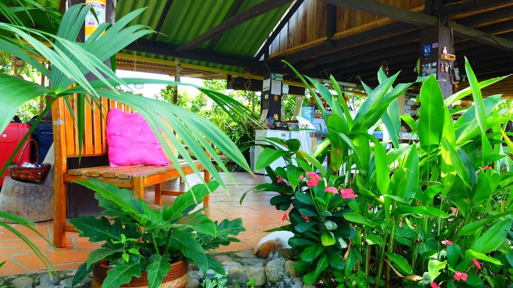 Bed and breakfast Margarita Los Naranjos
